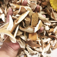 Golden Dried Pomelo Peel / Authentic Citrus Taste / Healthy & Chewy