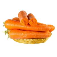 Fresh & Crunchy Bulk Carrots Ã¢ï¿½ï¿½ Naturally Grown, Sweet & Juicy, Perfect for Export