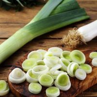 NATURAL FRESH LEEK WHOLESALE/ORGANIC GREEN LEEK/EXPORT QUALITY FACTORY SUPPLY