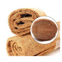 HOT SALE NATURAL COCONUT FIBER CARPET/ ECO-FRIENDLY COIR MAT/ WHOLESALE PRICE