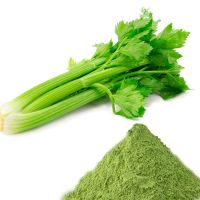 PREMIUM QUALITY, CELERY POWDER MADE FROM FRESH ORGANIC CELERY, USED FOR SEASONING, COOKING, AND HEALTH BENEFITS