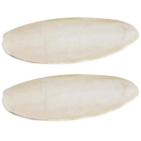 ORGANIC DRIED CUTTLEFISH BONE / NATURE'S CARE / ECONOMICAL VALUE / MADE IN VIETNAM