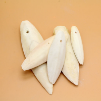 HIGH-QUALITY DRIED CUTTLEFISH BONE / PET HEALTH SUPPLEMENT / GREAT VALUE / MADE IN VIETNAM