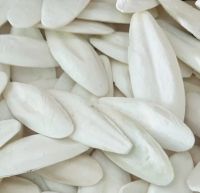 PURE DRIED CUTTLEFISH BONE / SAFE FOR PETS / PREMIUM VALUE / MADE IN VIETNAM