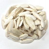 PREMIUM QUALITY, DRIED CUTTLEFISH BONES FROM FRESH SEA SQUID, ESSENTIAL SNACK FOR SQUIRRELS, RATS & AMBER