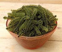 PREMIUM GRAPE SEAWEED, GROWN IN NATURE, A PERFECT ADDITION TO EVERY MEAL AND SALAD