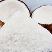 FRESHLY GROUND COCONUT POWDER / ORGANIC & PURE / THE TASTE OF TROPICS
