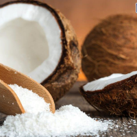 PURELY DESICCATED COCONUT / FINELY GROUND / VIBRANT COCONUT FLAVOR