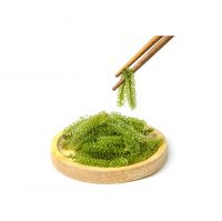 ORGANIC GRAPE SEAWEED, HANDPICKED FROM THE SEA, A NATURAL FOOD FOR ENHANCING YOUR DIET
