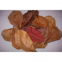DRIED TERMINALIA CATAPPA / DISEASE PREVENTION / CLEAN WATER / AQUARIUM FRIENDLY