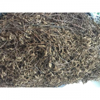 PREMIUM DRIED BLACK GRASS JELLY LEAF / NATURAL HERBAL INGREDIENT / MADE IN VIETNAM