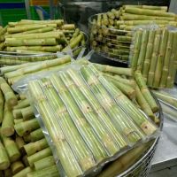 FRESH GREEN SUGARCANE / HYDRATION SUPPORT / CLEAN LABEL / NON-GMO