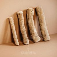 HIGH-QUALITY COFFEE WOOD CHEW / HEALTHY GNAWING / CLEAN LABEL / DOG-APPROVED
