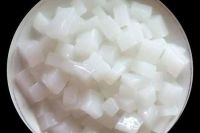 PURE NATA DE COCO / HIGH FIBER / CLEAN LABEL / PLANT-BASED
