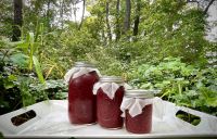 PURE SEAMOSS JAM / IMMUNE SUPPORT / CLEAN LABEL / PLANT-BASED