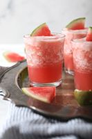 PURE FROZEN WATERMELON JUICE / NATURAL HYDRATION / CLEAN LABEL / PLANT-BASED