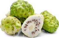 PURE NONI JUICE / ANTI-INFLAMMATORY BENEFITS / CLEAN LABEL / FRESHLY PRESSED