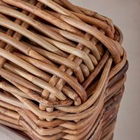 NATURAL RATTAN FIBER / BIODEGRADABLE / CLEAN & GREEN