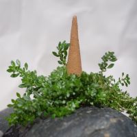 PREMIUM OUD INCENSE CONES / ANCIENT AROMATHERAPY / EARTH-FRIENDLY / BALANCED ENERGY