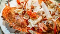 PREMIUM CRAB SHELL / HIGH-QUALITY CHITIN / ECO-SAFE / RECYCLABLE