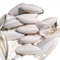 PREMIUM DRIED CUTTLEFISH & SEPIA BONES EXPORTED FROM VIETNAM / VIET DELTA NATURAL CHOICE