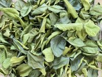 ORGANIC DRIED LEMON LEAVES / CITRUS SCENT / NURTURING FOR BODY &amp; MIND