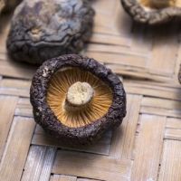 PREMIUM DRIED SHIITAKE MUSHROOMS / FRESH & BEST PRICE FROM VIETNAM