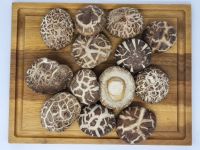 NATURAL PREMIUM DRIED SHIITAKE MUSHROOMS / HIGH QUALITY FLAVOR / BEST PRICE FROM VIETNAM