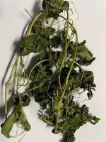 DRIED BITTER MELON LEAVES / CHOLESTEROL CONTROL / CLEAN LABEL / HERBAL SUPPLEMENT