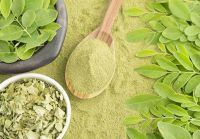 MORINGA LEAF POWDER / IMMUNE SUPPORT / NATURAL / CLEAN LABEL