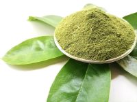 PURE GRAVIOLA LEAF POWDER / IMMUNE BOOST / CLEAN LABEL / PLANT-BASED