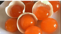 SALT PRESERVED DUCK EGG YOLKS / CULINARY ESSENTIAL / CLEAN LABEL / NO ARTIFICIAL ADDITIVES