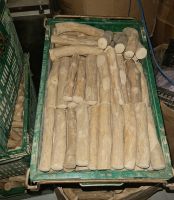 NATURAL COFFEE WOOD CHEW / LONG-LASTING / HEALTHY TEETH SUPPORT