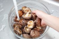 BEST QUALITY PREMIUM SHIITAKE MUSHROOM (DRIED) BEST PRICE FROM VIETNAM