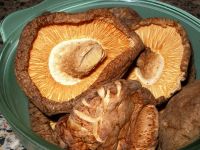 PREMIUM SHIITAKE SLICES / IMMUNE BOOST / CLEAN LABEL / WHOLE PLANT