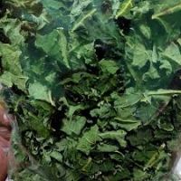 PURE DRIED PAPAYA LEAF / IMMUNE SUPPORT / CLEAN LABEL / PLANT-BASED