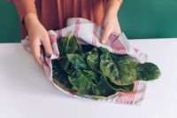 HAND-PICKED CATAPPA LEAF / IMMUNE SUPPORT / CLEAN LABEL / PLANT-BASED