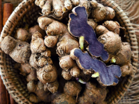 WILD BLACK GINGER / ENERGY BOOST / CLEAN LABEL / HERBAL POWER