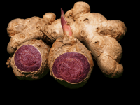 ORGANIC BLACK GINGER / MEN'S HEALTH / CLEAN LABEL / HERBAL FORMULA