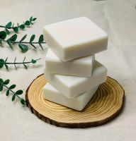 ORGANIC SEA MOSS SOAP / DAILY CLEANSE / CLEAN LABEL / SEA-INFUSED