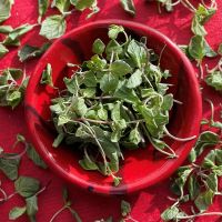 MINT LEAF TEA CUT / COOL & CLEAN / CLEAN LABEL / PLANT GOODNESS