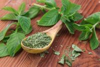 DRIED GREEN MINT / NATURAL AROMA / CLEAN LABEL / PLANT THERAPY