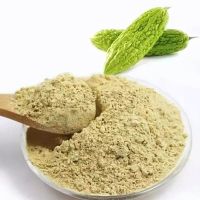 WILD BITTER MELON POWDER / DIGESTIVE AID / SUGAR FREE / HERBAL BASED