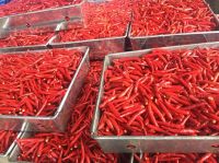 FROZEN RED CHILI / PURE HEAT / FREEZERâREADY / NONâGMO