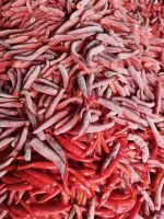 FROZEN CHILI / SPICE BOOST / CLEAN LABEL / PLANT-BASED