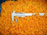 FROZEN PUMPKIN CUBES / PLANT-BASED GOODNESS / CLEAN LABEL / IMMUNE-FRIENDLY FOOD