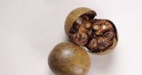 WHOLE DRIED MONK FRUIT / IMMUNE CARE / ZERO CALORIES / NATURE'S SWEETNESS