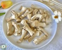 SHIITAKE STEMS / PLANT-BASED IMMUNE CARE / CLEAN AND PURE