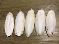 OCEAN MINERAL BONE / BONE HEALTH / NATURAL BOOST