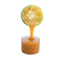 PLANT-BASED KUMQUAT JUICE / PURE CONCENTRATED EXTRACT